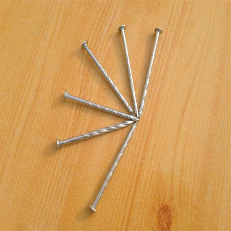 Galvanized Round Head Nail Twist Nail Expansion Screw