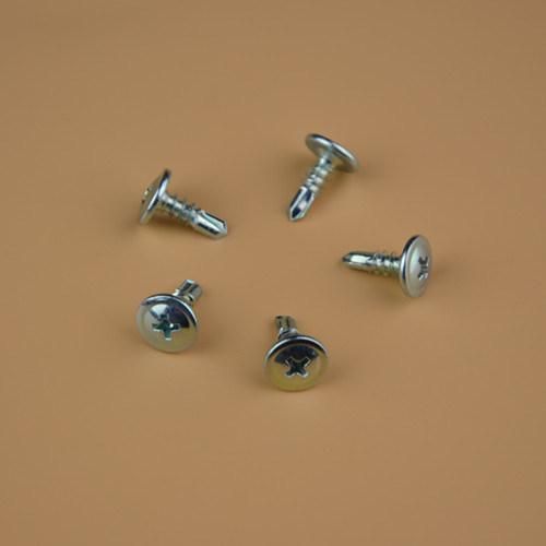 Step Screw Big Head Screw/Step Bolts/Special Bolts