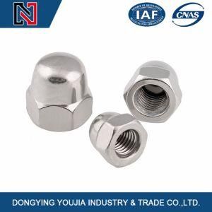 DIN1587 Stainless Steel Hexagon Domed Cap Nuts
