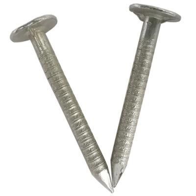 Hot Sale Ring Nail with Competitive Price