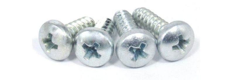 Type B Pan Head Phillipsdrive Self Tapping Screw/Tornillos