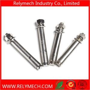 Stainless Steel Expansion Screw/ Expansion Bolt/ Expansion Anchor Bolt/ Sleeve Anchor Bolt