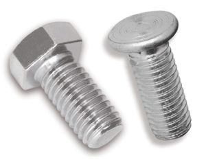 Stainless Steel Wood Screws Stainless Steel Bolt