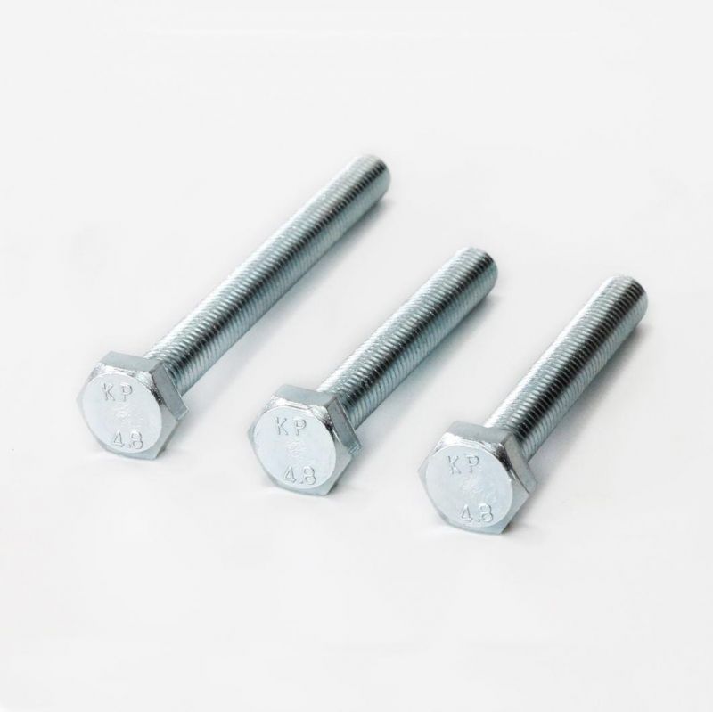 Hex Bolt/Carriage Bolt/Anchor Bolt/Flange Bolt/T Bolt/Square Head Bolt/Hex Socket Cap Screw/Square Bolt/Wing Bolt/Eye Bolt/Knurled Bolt/U Bolt/Hex Cap Screw