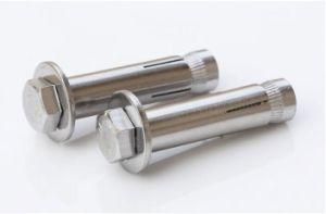 Expansion Screw Bolts 304 Stainless Steel Expansion Sleeve Anchor Bolt