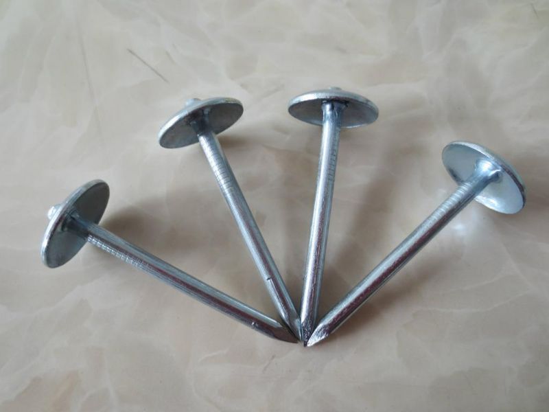 Galvanized Roofing Nail with Umbrella Head