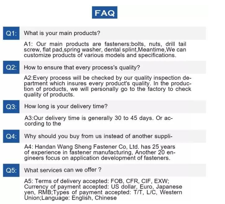 Manufacture Top Quality Fastener 10.9 Bolt Material in Bolts Hex Bolt and Nuts with Flat Washer