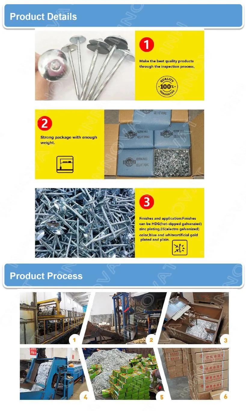 Umbrella Head Roofing Nails/Iron Nail/Steel Nail/Coil Nail/Galvanized Roofing Nail