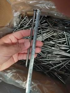 Nail/Common Nail/Wire Nail Factory Supply