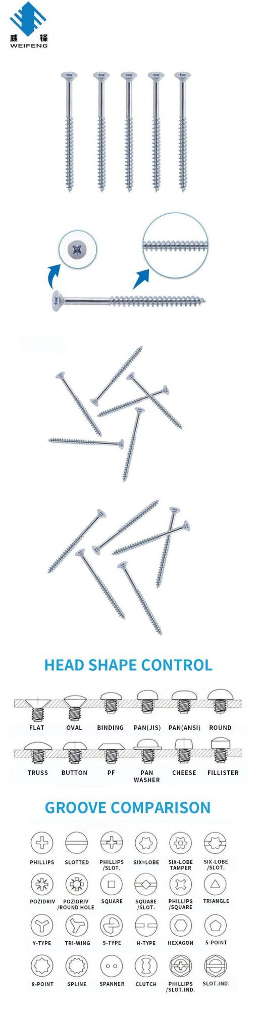 Hot Sale Zinc Plated Countersunk Pozi Self Tapping Screw