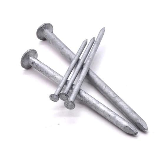 Hardware Nail/Polished/Hot Dipped/ Galvanized Iron Nail