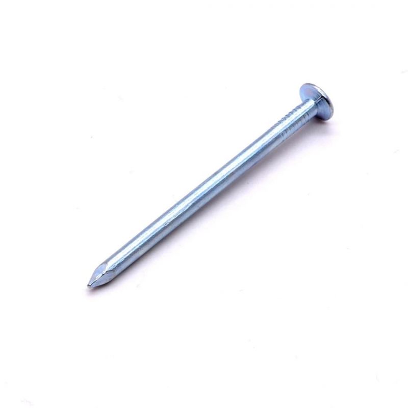 Most Popular Concrete Steel Nail 25mm Nails Electro Galvanized Concrete Steel Nail