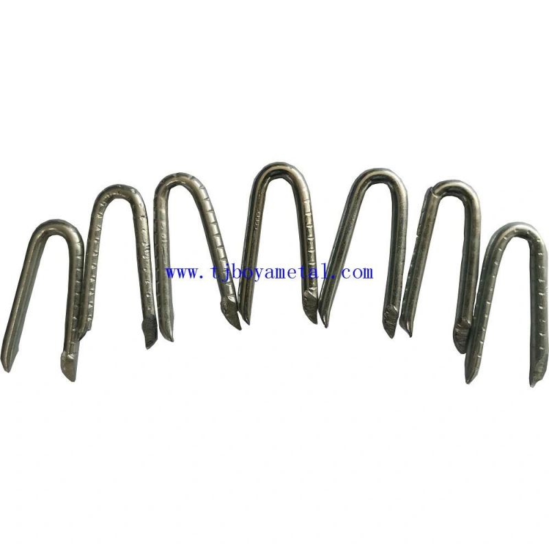 Polished U Type Nail 18ga 9012 9040 Industrial Fence Staple Zinc Coated Nails in China Factory Lowest Price
