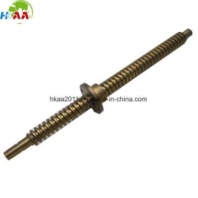 Stainless Steel Stepper Motor Acme Lead Screw