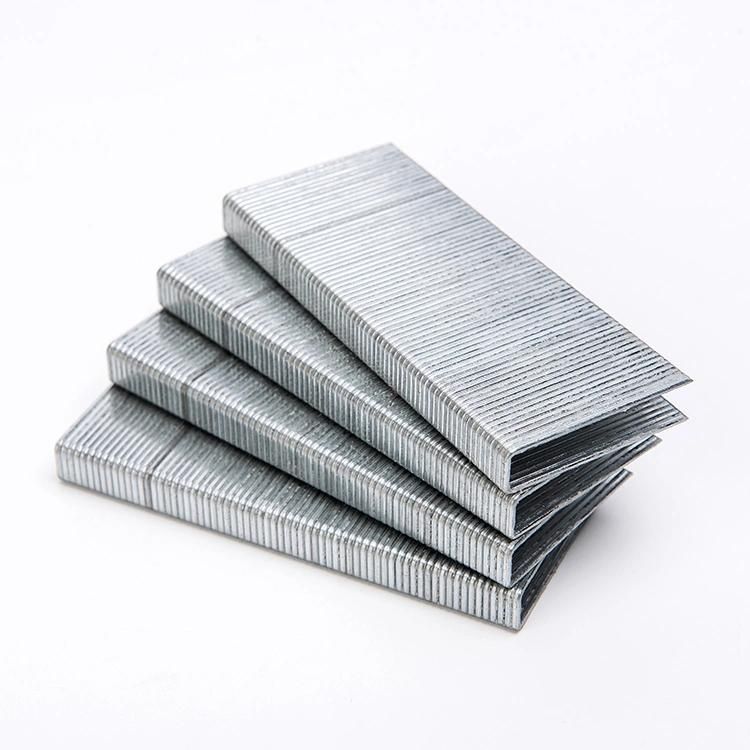 Construction Nail Furniture 20ga Sofa Staple 1010 1013 1016j Manufacturer
