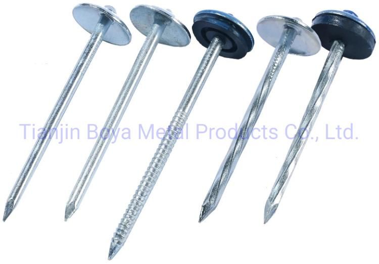 Best Quality Galvanized Umbrealla Head Roofing Nails