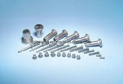 China Popular Fastener Nonstandard Metal Solid Rivet