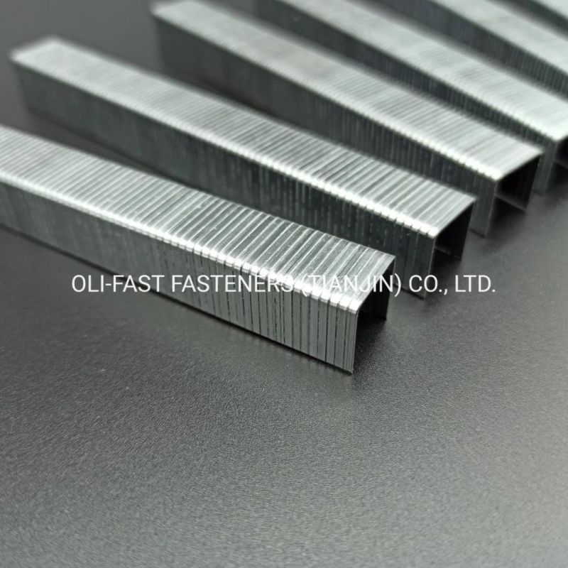 Factory Supply 20ga 50 Staples 5008 for Upholstery/Furniture