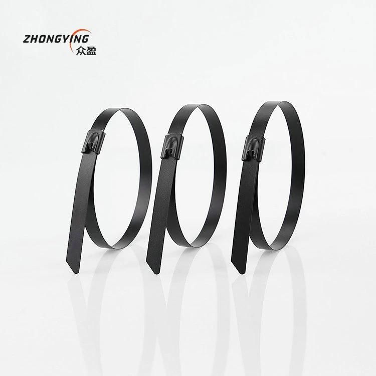 New Design Custom 4.6*550mm Releasable Spray Plastic Stainless Steel 304 Cable Tie