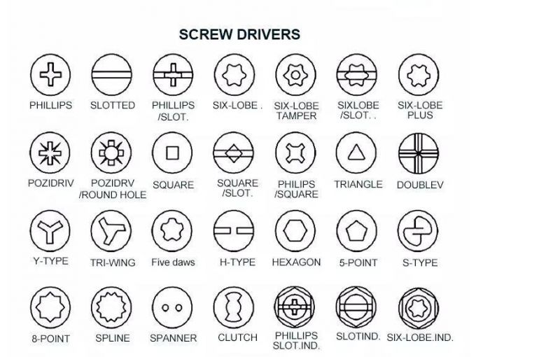 Sea Freight / Land Air Wood Screw/Roofing Screw/Machine Screw/Tornillo Drywall Tapping Screw