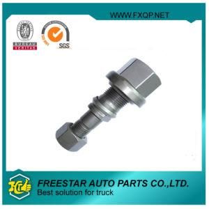 Hexagon Truck Wheel Hub Bolt with Flange Nut