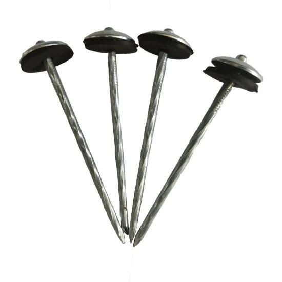 Hot Sale Galvanized Umbrella Roofing Nails Clavo with Rubber Washer in Peru From Tianjin Nail Manufacture