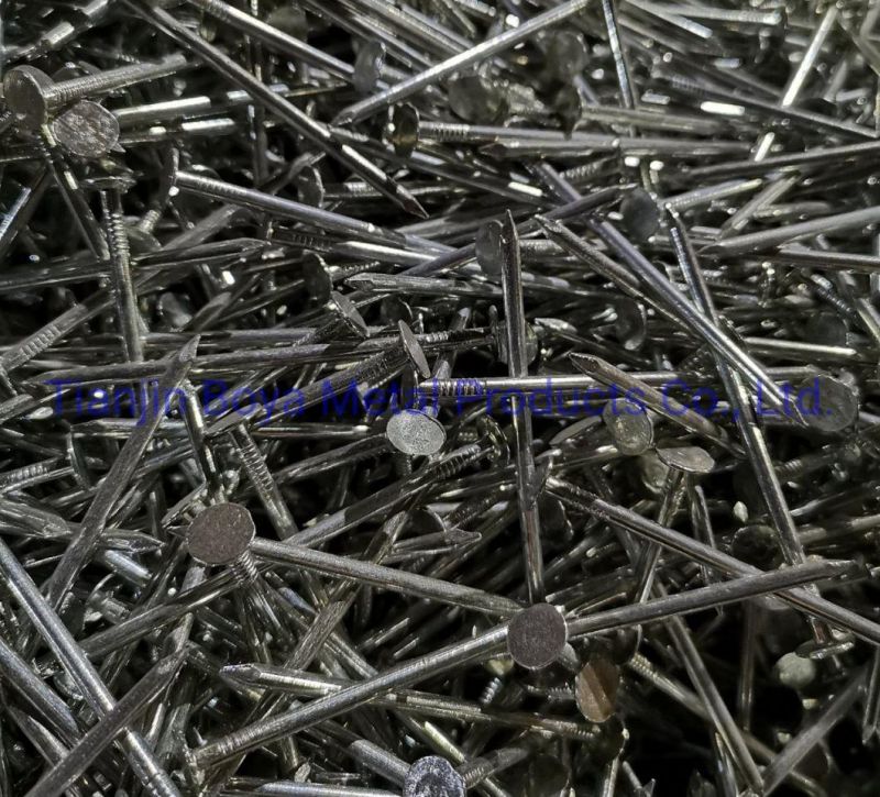 China Galvanized Large Head Clout Nails /Big Head Nail/Roofing Nail