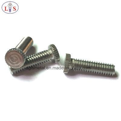 Stainless Steel 304 Flat Head Bolt with Knurling
