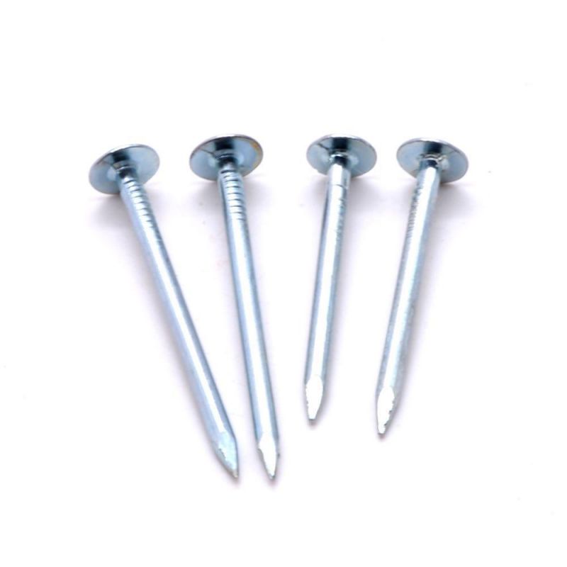 Cheap Price Electro Galvanized Steel Flat Head Clout Nails