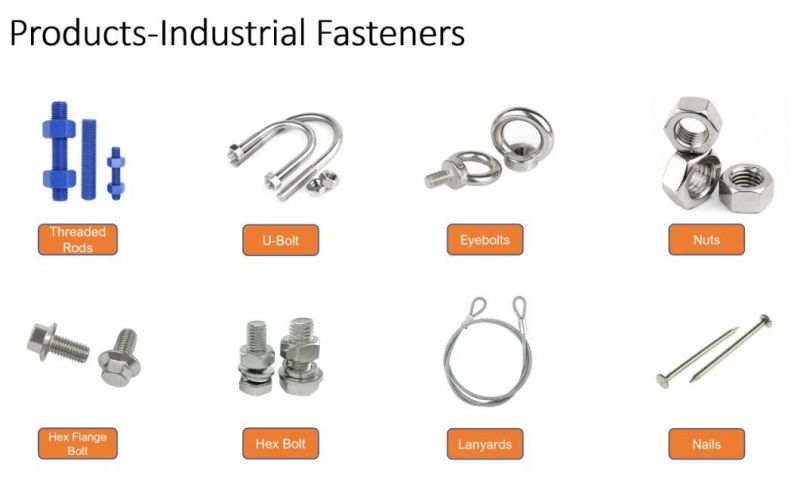 High Quality Custom Hardware Fasteners Thread Forming Screws with a High Thread Profile and Recessed Thread Root