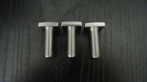 Customized T-Bolts in 304 Stainless