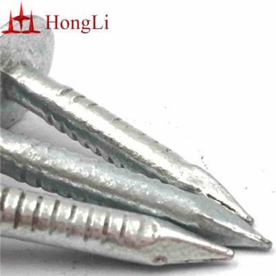 Clout Nail Clout Nails Hot Sale Small Stainless Steel Electrical Galvanised Clout Nail