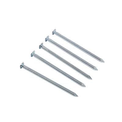 Vietnam Philippines Singapore Marketcheap Price Square Boat Nails Hot Dipped Galvanized Square Boat Nails