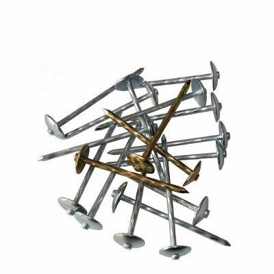 1&quot;-5&quot;Yellow Color Zinc Plate Mushroon Head Roofing Nail