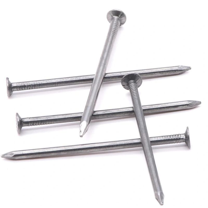 Kenya Angola Ethiopia Market/China Manufacture Polished Common Nails for Building