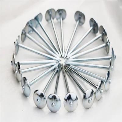 Made in China Electric Galvanized Roofing Nail