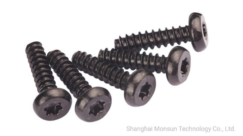 Pan Head Star Drive Type B Point Self Tapping Plastic Screw