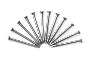 Galvanized Steel Hardware Common Nails
