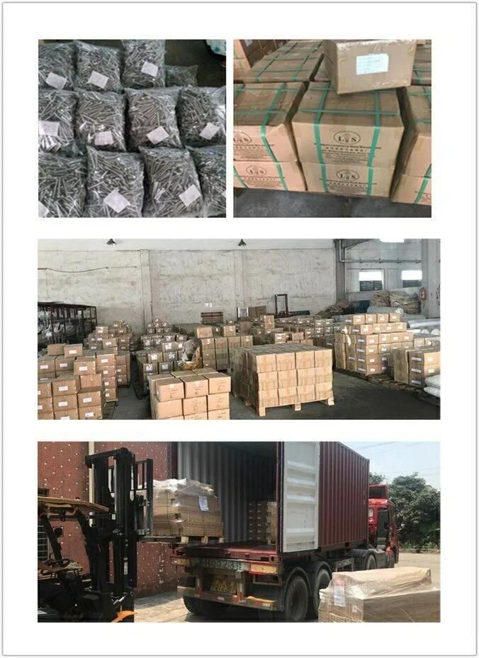 Special Head Screw Sleeper Screw for Railroad Track Accessories