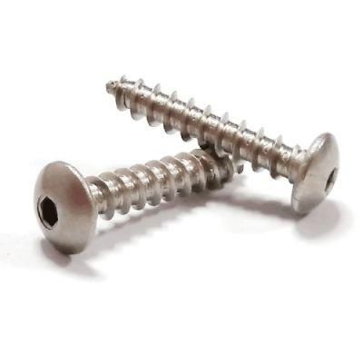 Stainless Steel 304 Allen Socket Mushroom Truss Self Tapping Screw