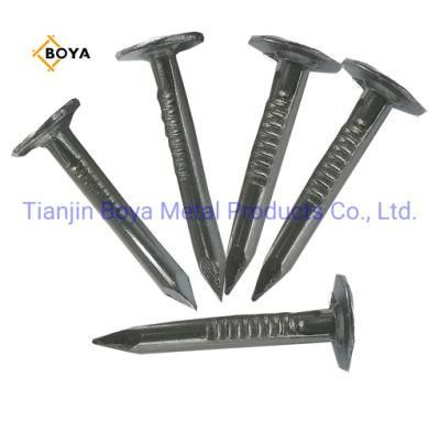 China Premium Quality Building Materials Mechanical Galvanised Smooth Shank Clout Nail