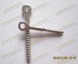 Stainless Steel SS304 Wooden Threaded Screw