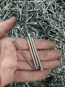 Nails, Common Nails Without Head