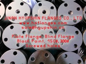 ANSI Blind Flanges, Blrf Blff Forging Flanges, Carbon Steel Pipe Flanges