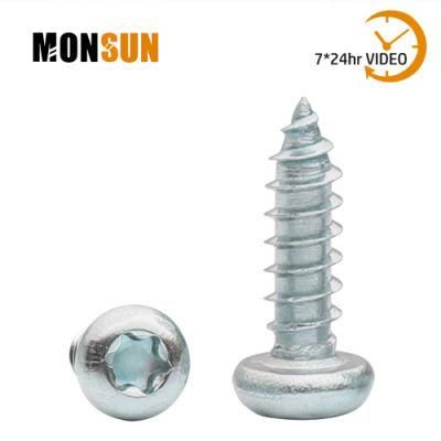 Pan Head Phillips/Squaretorx Drive Self-Tapping Sheet Metal Screws/Tornillos