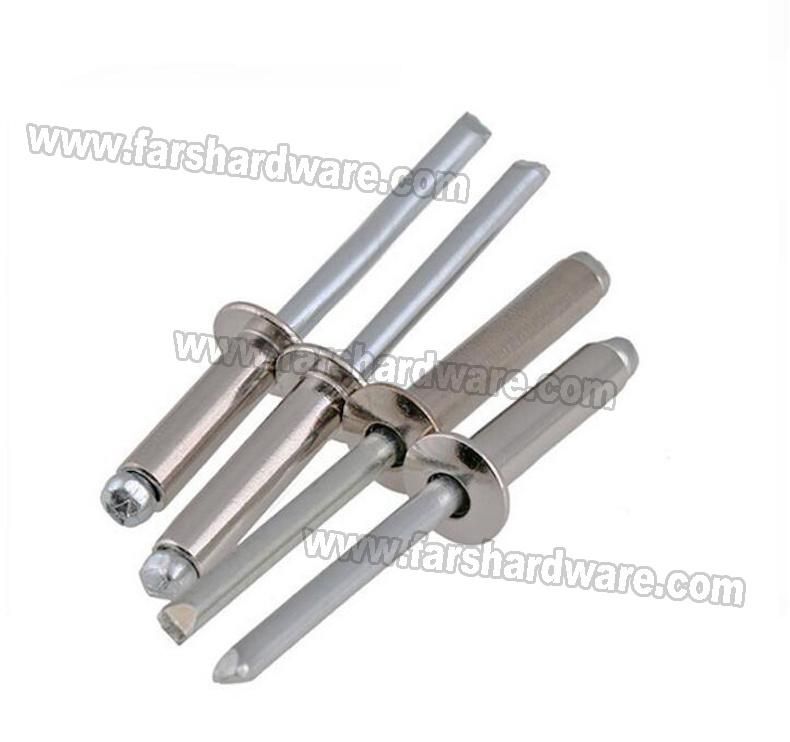 Professional Supplier Stainless Steel Dome Head Pop Blind Rivet