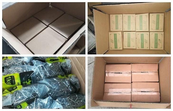 Hot Sale Coil Nail Screw Shank Paint Cheap Price
