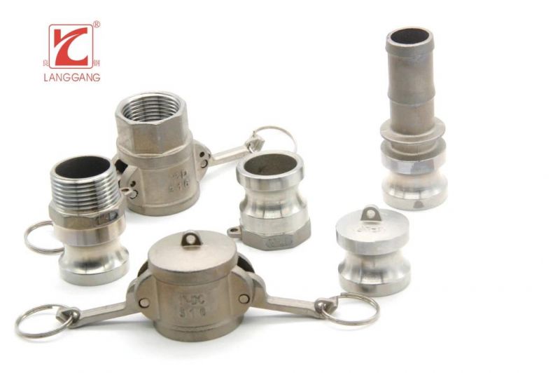 Type-D Standard Inox Casted BSPT Thread Coupler Female Camlock