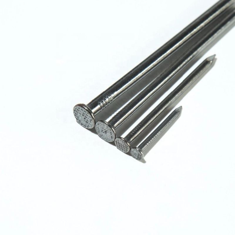 Stainless Steel Common Nail for Construction