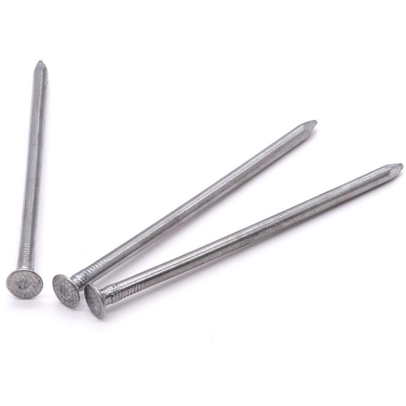 Factory Direct Selling Hot Sale Common Round Iron Wire Nails Common Iron